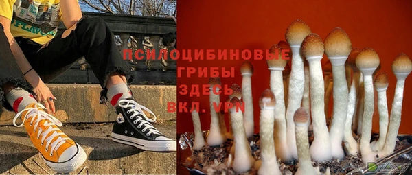 эйфоретик Касимов