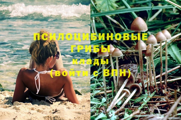 бошки Карталы